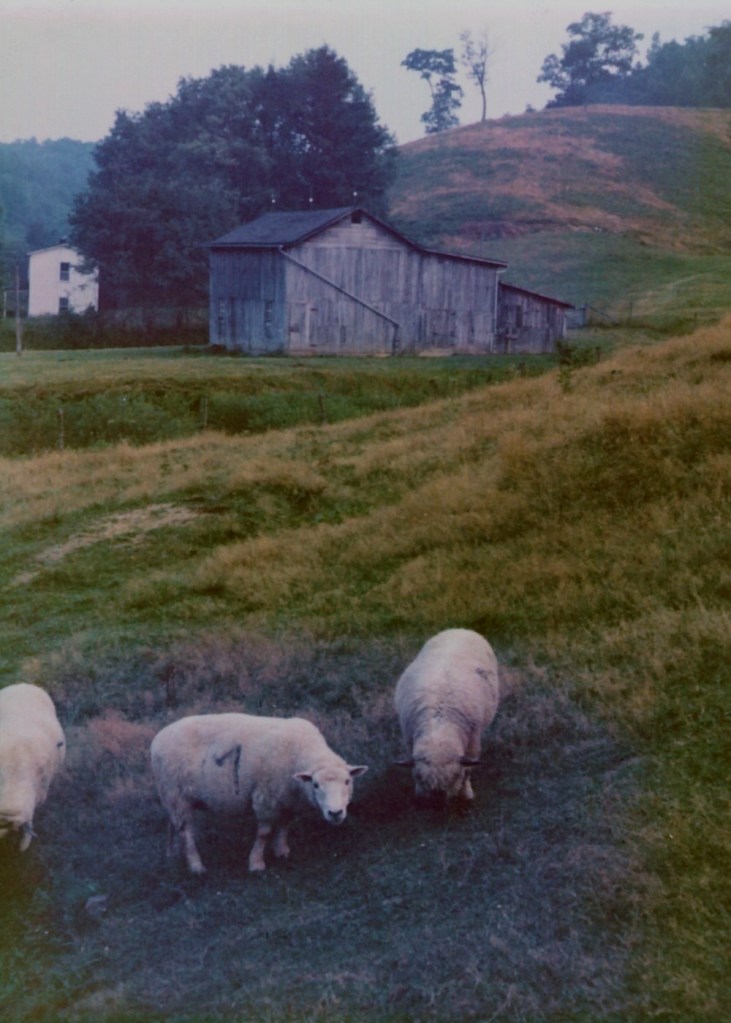 Lowel Heisey WVA_farm1973